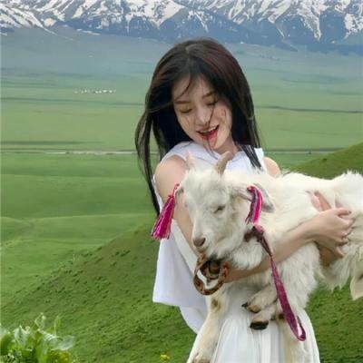 呆瓜向前冲